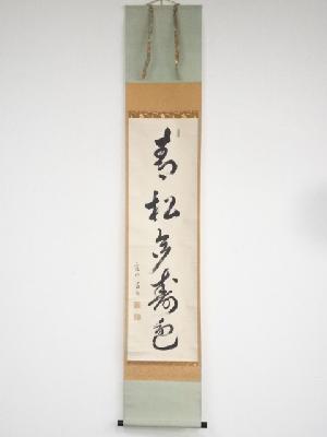 建仁寺竹田益州筆　「青松多寿色」一行書　肉筆紙本掛軸（共箱）